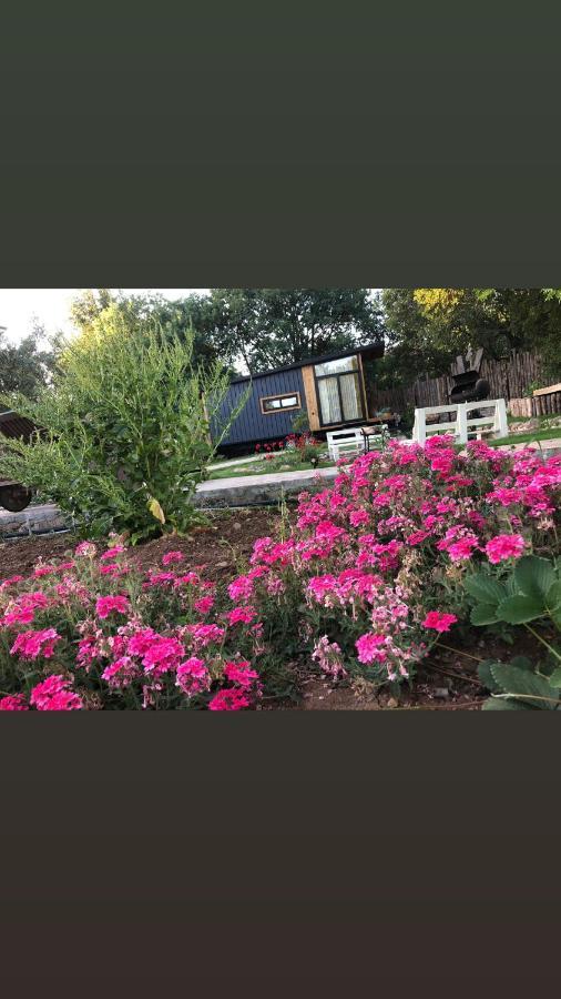Tiny House Kayakoey Kumquat Hotel ภายนอก รูปภาพ